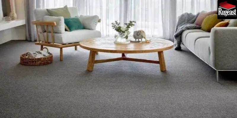 Cleaning wool carpet - rugeast (2)
