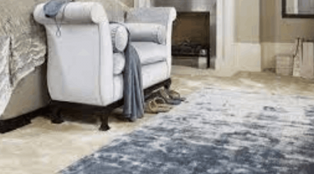 The best carpet model for the salon - rugeast