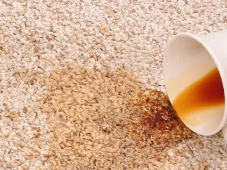 Tea stain on the carpet -rugeast (3)